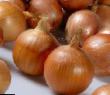 Onion  Proteus F1 grade Photo