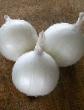 Onion varieties Toluka F1 Photo and characteristics