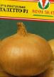 Onion varieties Taletto F1  Photo and characteristics