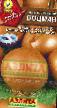 Κρεμμύδια ποικιλίες Bocman φωτογραφία και χαρακτηριστικά
