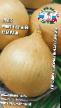 Onion varieties Sima Photo and characteristics