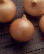Onion varieties Kehndi F1  Photo and characteristics