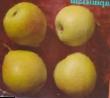 Pear varieties Larinskaya Photo and characteristics