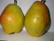Päärynä (päärynäpuu) lajit Nart kuva ja ominaisuudet