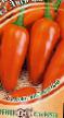 Peppers varieties Lisichka F1 Photo and characteristics