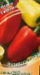 Papriky druhy Tiflis fotografie a charakteristiky