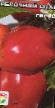 Papriky druhu Yablochnyjj spas fotografie a vlastnosti