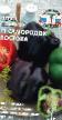 Πιπεριές ποικιλίες Samorodok Vostoka F1 φωτογραφία και χαρακτηριστικά