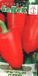 Πιπεριές ποικιλίες Korvet φωτογραφία και χαρακτηριστικά