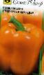 Papriky druhy Oranzh vander F1  fotografie a charakteristiky
