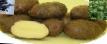 Kartoffeln  Vasilek klasse Foto