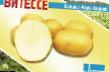 Patata variedades Vitesse Foto y características