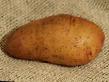 Potatoes  Tiras grade Photo