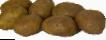 Potatoes  Udacha grade Photo