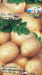 Potatoes varieties Assol Photo and characteristics