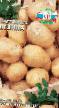 Πατάτες ποικιλίες Velina φωτογραφία και χαρακτηριστικά