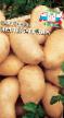 Potatis sorter Imperatrica Fil och egenskaper