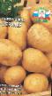 Kartoffeln Sorten Fermer Foto und Merkmale