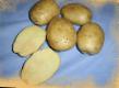 Πατάτες  Uladar ποικιλία φωτογραφία