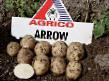 Potatoes  Ehrou  grade Photo