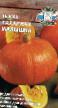Pumpkin varieties Sakharnaya malyshka Photo and characteristics