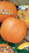 Pumpkin varieties Ulybka Photo and characteristics
