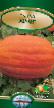 Pumpkin varieties Atlant Photo and characteristics