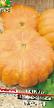 Pumpkin  Parizhskaya zolotaya  grade Photo