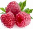 Raspberries  Brigantina grade Photo