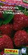 une fraise les espèces Grandian  Photo et les caractéristiques