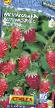 Lesní jahody  Alpijjskaya mechta  druh fotografie