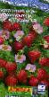 Strawberry varieties Vechnost S1 Photo and characteristics