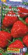 une fraise  Freska F1 l'espèce Photo