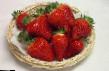une fraise  Aziya  l'espèce Photo