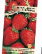 Strawberry varieties Delikan f1 Photo and characteristics