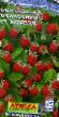 Erdbeeren Sorten Regina  Foto und Merkmale