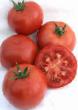 Tomatoes varieties Madera F1 Photo and characteristics