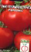 Los tomates  Persona variedad Foto