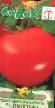 Tomatoes varieties Pingvin F1 Photo and characteristics