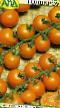 Los tomates variedades Goldkroun Foto y características