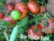 I pomodori  Vintejjdzh Vajjn la cultivar foto