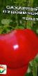 Tomater sorter Sakharnyjj pudovichok Fil och egenskaper
