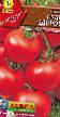 Los tomates  Bud zdorov variedad Foto