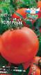 Los tomates  Polyarnik variedad Foto
