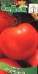 Los tomates  Prezent F1 variedad Foto