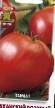 Tomatoes varieties Abakanskijj rozovyjj Photo and characteristics