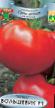 des tomates les espèces Bolshevik F1  Photo et les caractéristiques