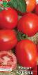 Los tomates  Kuban variedad Foto