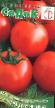 Los tomates  Rannijj Dubinina variedad Foto