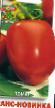 Los tomates  Trans Novinka  variedad Foto